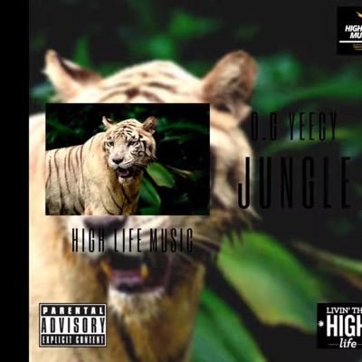 Jungle - Single