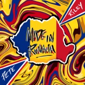 Made in Romania artwork