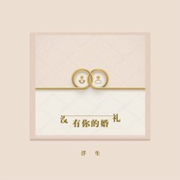 没有你的婚礼 - Single - 浮生