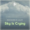 Sky Is Crying