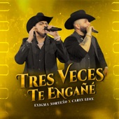 Tres Veces Te Engañé (En Vivo) artwork