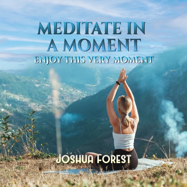 Meditate in a Moment: Enjoy This Very Moment, Mental Health Expert for Slowing Thoughts & Returning to Present, Living in the Present Mindfulness Meditation