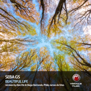 Beautiful Life - Single