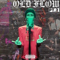 Old Flow Pt. 2 - Single - Salty MC