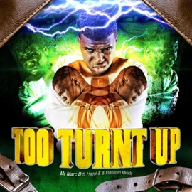 Too Turnt Up (feat. Hazel-E & Platinum Minds) Mr Marc D