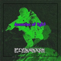 Ascension of light - Single - PLVNAKXSH