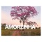 Amorzinha - Ben Olde lyrics