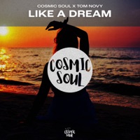 Like A Dream