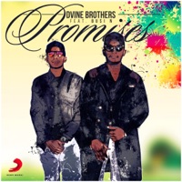 Promises (feat. Busi N) - Single - D'vine Brothers