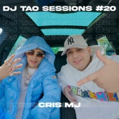 CRIS MJ  DJ TAO Turreo Sessions #20 artwork