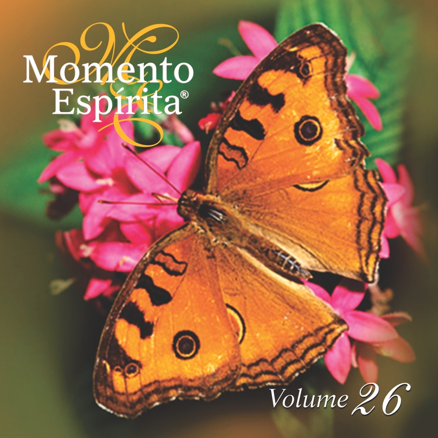 Momento Espírita - Momento Espírita - A Dádiva de Viver - 13 07 2020