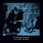 Chameleons UK - Sycophants (Live from the Edge)