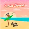 Rodrigo Mattos - Calm Down (Remix)