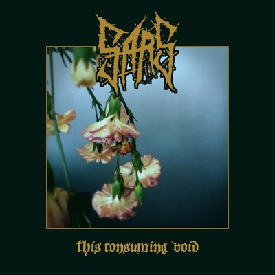 This Consuming Void - Single