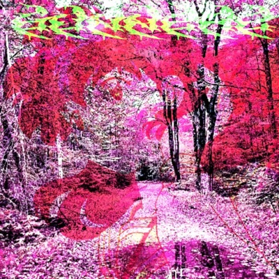 lost without you - Single