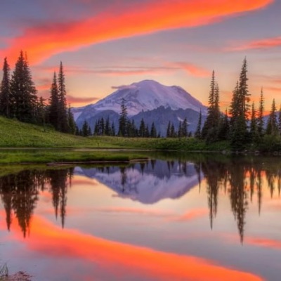 ztb - Coal of Misfortune