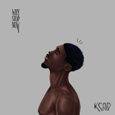 Why Stop Now - EP