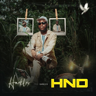 H.N.D - Single