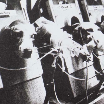 = (gleich) (feat. : - Single