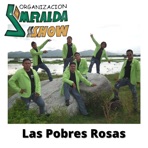 Las Pobres Rosas - Single