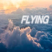 Flying (feat. James Moore) - Single - Doorstep Rebellion