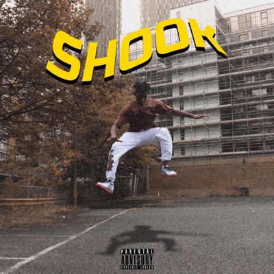 Shook - Single