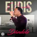 Dandole