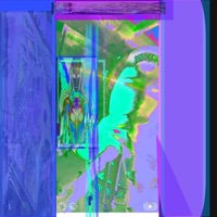 Zirkulierend - Single - Neeko Lsh