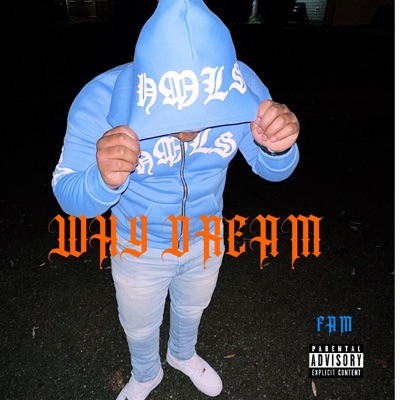 Why Dream - Single