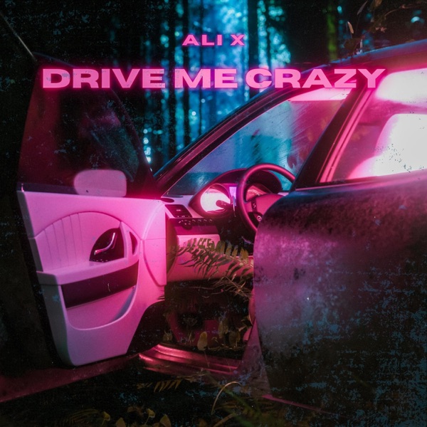 Drive Me Crazy