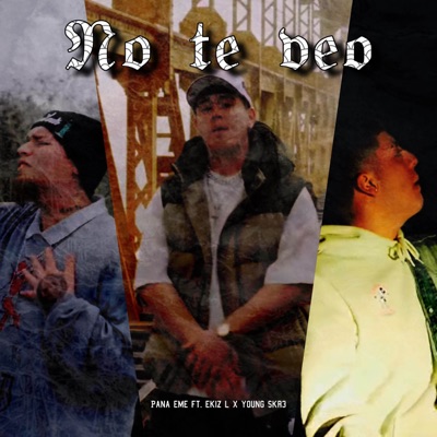 No te veo (feat. Young Skr3 & Ekiz L) - Single