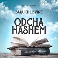 Odcha Hashem (Acapella Edition) - Single - Baruch Levine