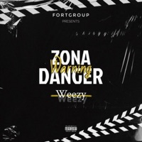 ShawtyDisseTudo - Single - WeeZy Yk