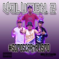 #SomosCarnalismo_Vol.2 (feat. Ernesto Salazar, Tony Silva, Ángel R.G & El Cholo) - Single - #CarnalismoProduce