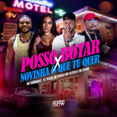 Posso Botar X Novinha o Que Tu Quer (feat. DJ CIRILO DE CAXIAS & ADpar Records) - Single