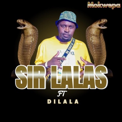 Mokwepa (feat. Dilala) - Single