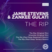 The Rip (Paul Deep Terrace Remix) artwork