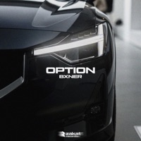 Option - Single - BXNER