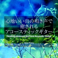 Healing pleasant bird and Acoustic Guitar, vol. 3, -DISNEY-