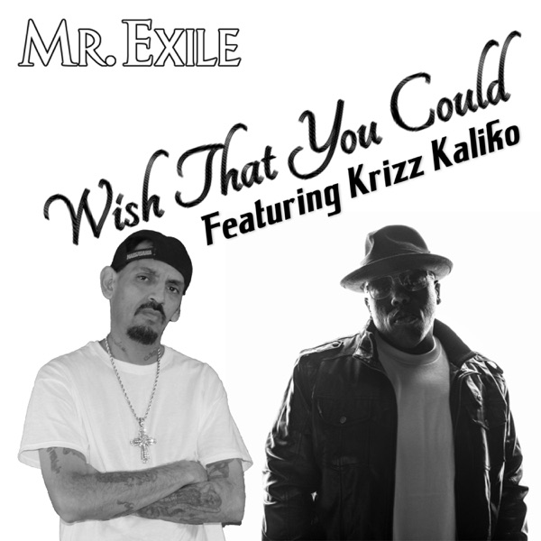 Wish That You Could (feat. Krizz Kaliko)