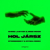 Hol Jársz (feat. Miss Mood) [Sterbinszky & Mynea Extended Mix] artwork