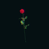 Rose - Single - UWEM