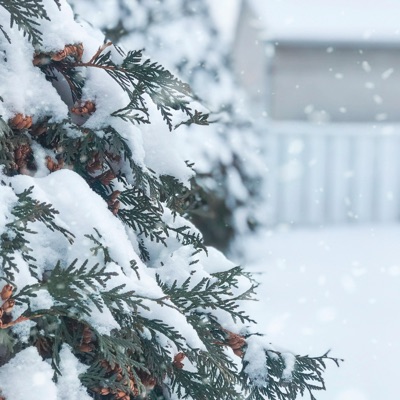 If I Wrote U a Love Song - Single