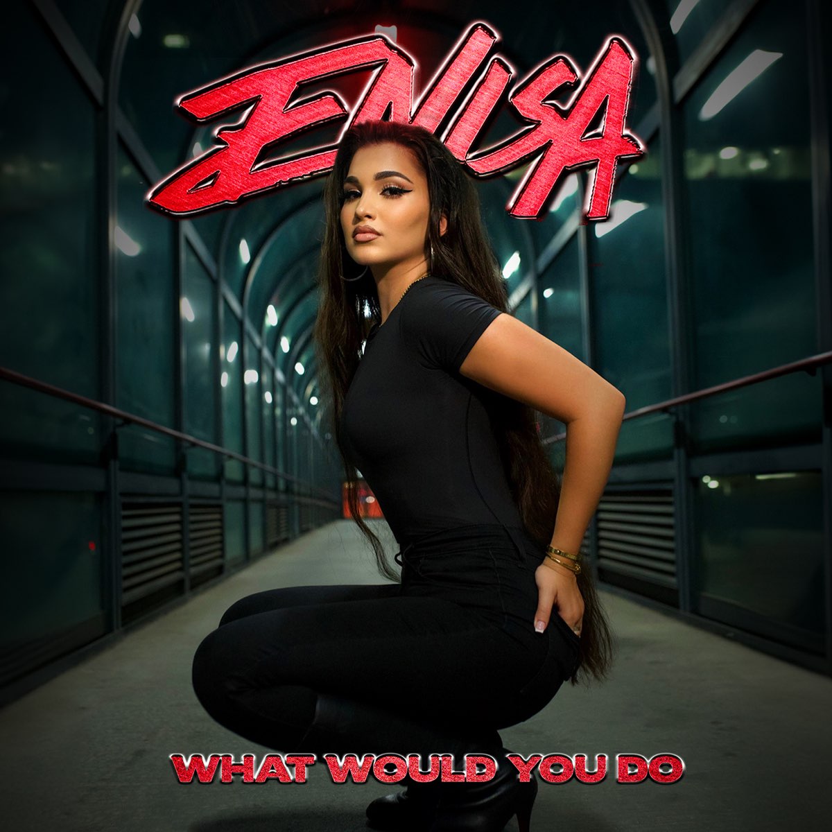 What Would You Do Single“ von Enisa bei Apple Music