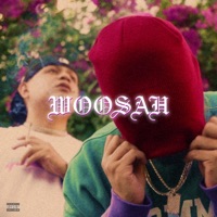 Woosah (feat. Skii) - Single - Kris Delano