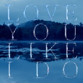 Love You Like I Do artwork