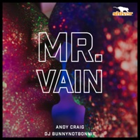 Mr Vain - Single - Andy Craig & DJ Bunnynotbonnie