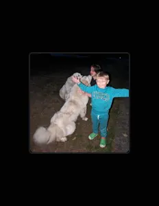 Luister naar Theo Wyman, bekijk muziekvideo's, lees de bio, bekijk de tourdata, en meer!