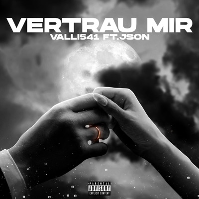 Vertrau mir (feat. JSON) - Single