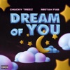 Dream of You - Single